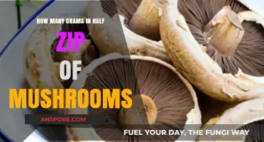 Grams in a Half Zip: Mushroom Weight Guide