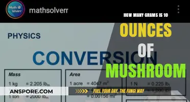 Grams and Ounces: Converting Mushroom Measurements