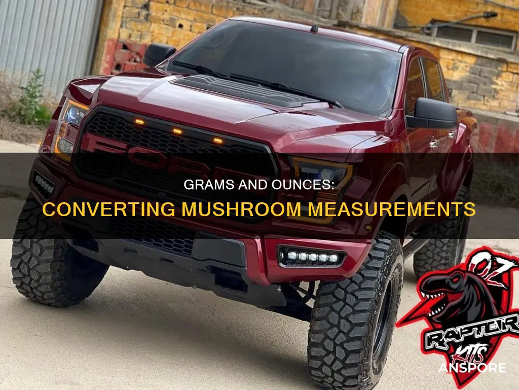 how many grams is 10 ounces of mushrooms