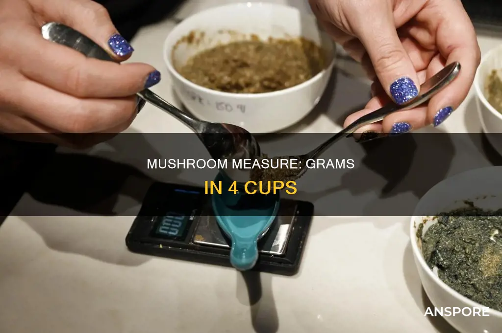 how many grams is 4 cups of mushrooms