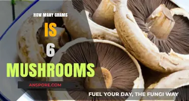 Mushroom Weight: Grams in Six Mushrooms