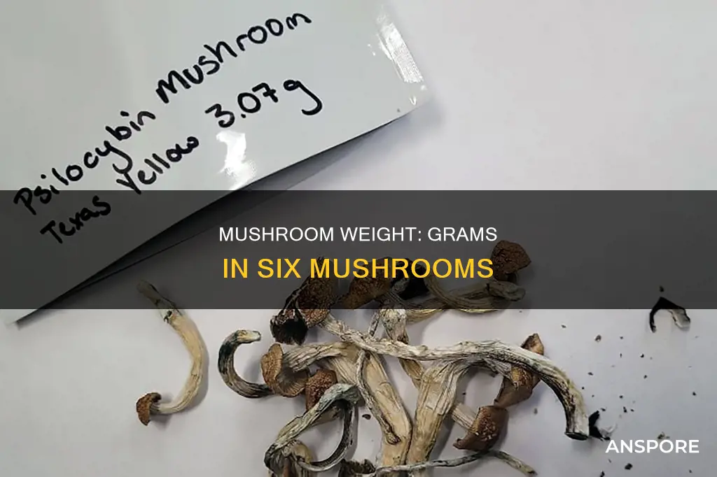 how many grams is 6 mushrooms