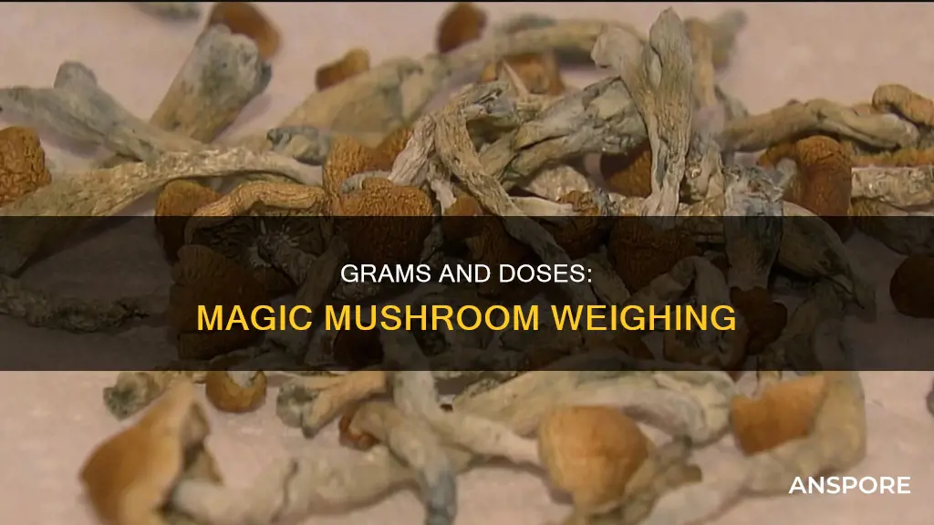 how many grams is a dose mushrooms