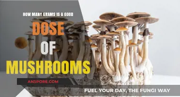 Finding the Right Mushroom Dose: Grams for a Good Experience
