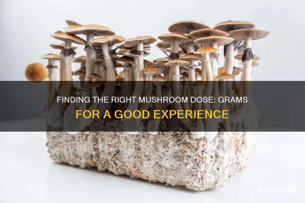 how many grams is a good dose of mushrooms