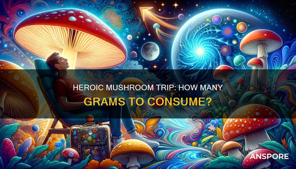 how many grams is a heroic dose of mushrooms