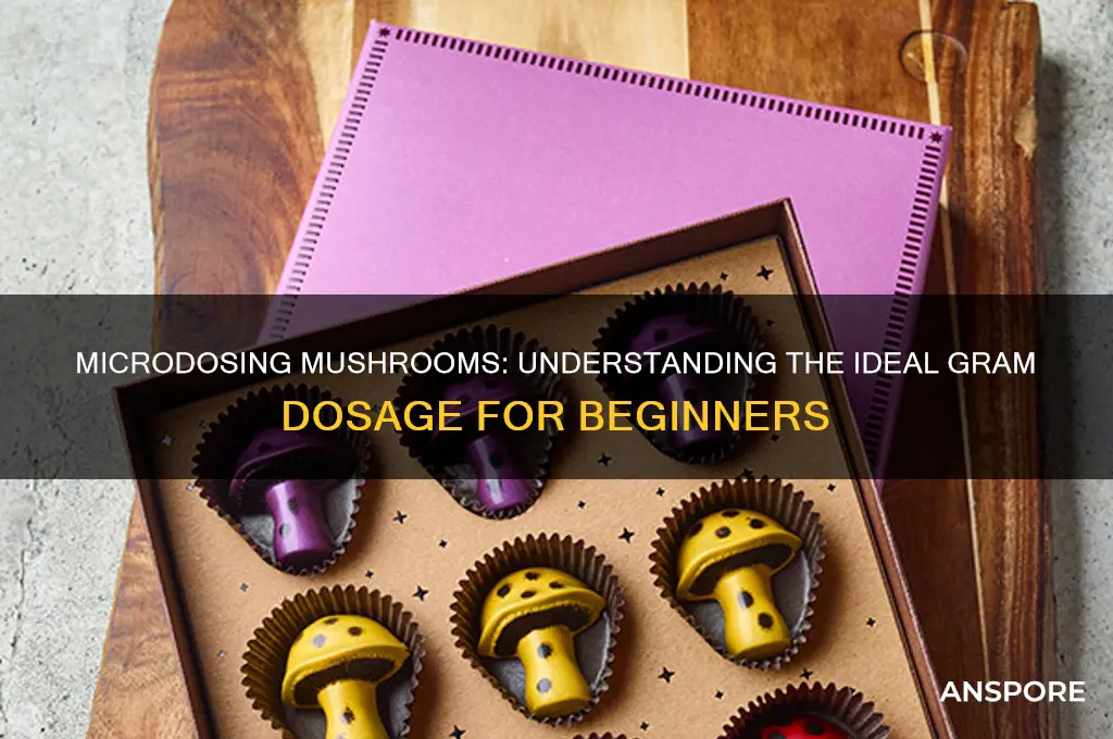 how many grams is a microdose of mushrooms