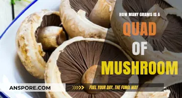 Weighing Magic Mushrooms: Grams in a Quad