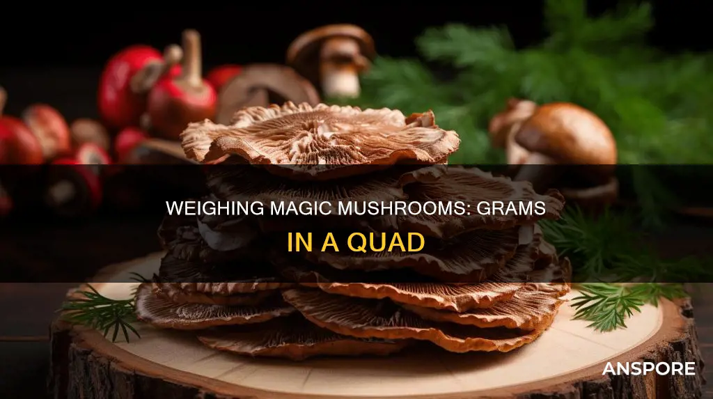 how many grams is a quad of mushrooms