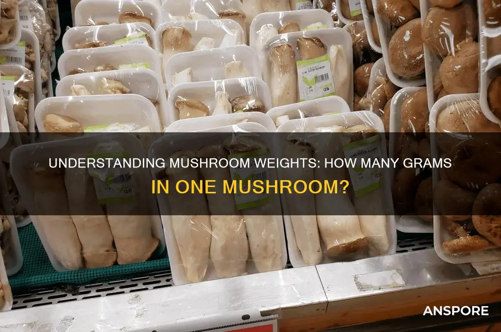how many grams is one mushroom
