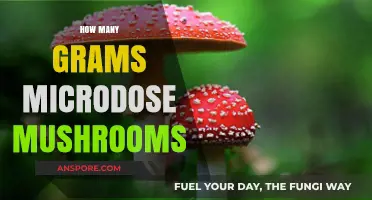 Microdosing Mushrooms: How Much Is Enough?
