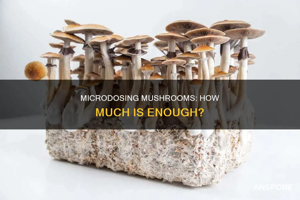 how many grams microdose mushrooms