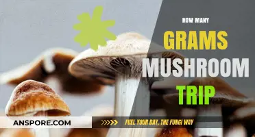 Mushroom Tripping: How Many Grams to Consume?