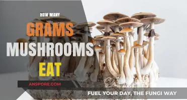 How Many Grams of Mushrooms Should You Eat Daily?