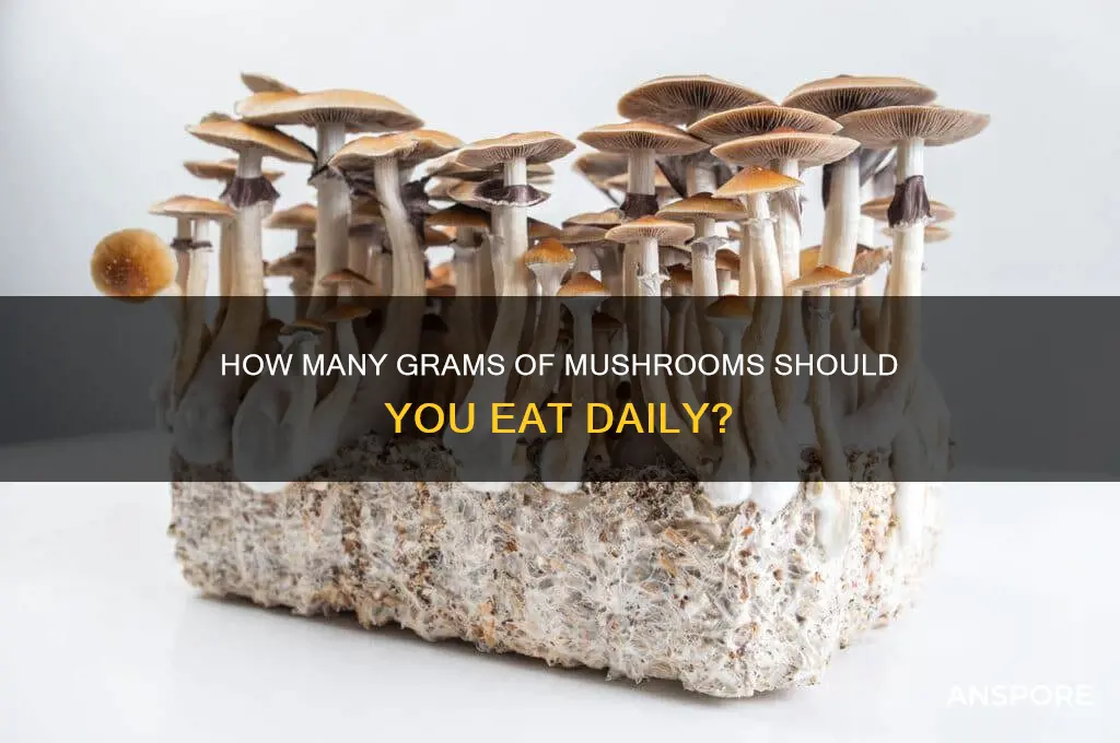 how many grams mushrooms eat