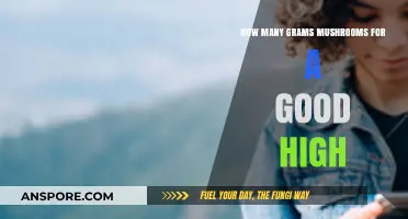 Finding the Right Mushroom Dosage for a Desired Psychedelic Experience