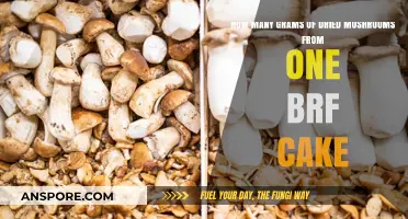 Dried Mushroom Yield: BRF Cake Expectations