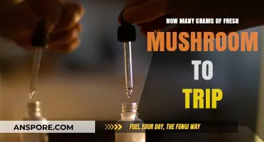 Tripping on Fresh Mushrooms: How Many Grams to Consume?