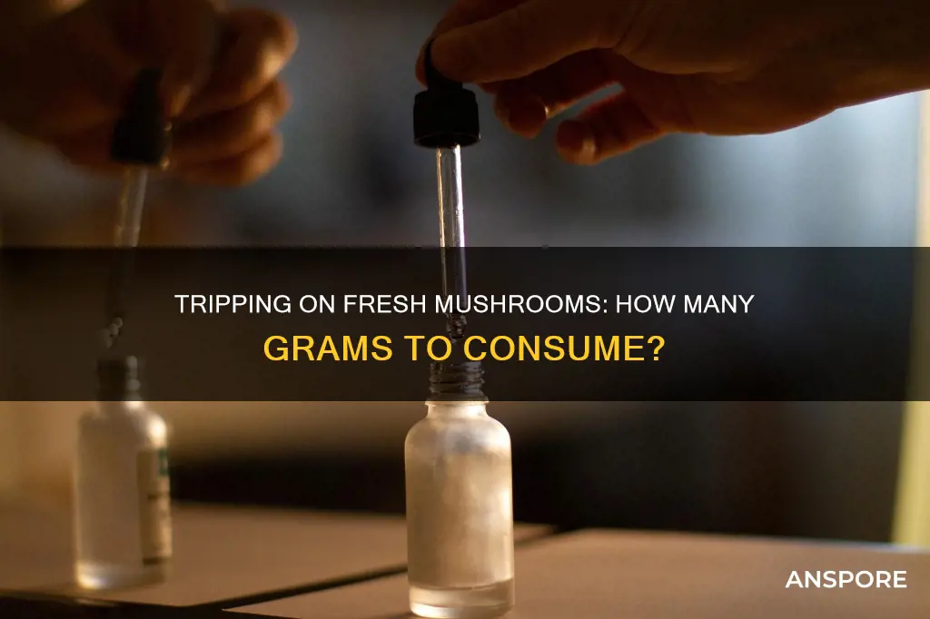 how many grams of fresh mushrooms to trip