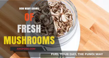 Fresh Mushroom Weight: How Many Grams?