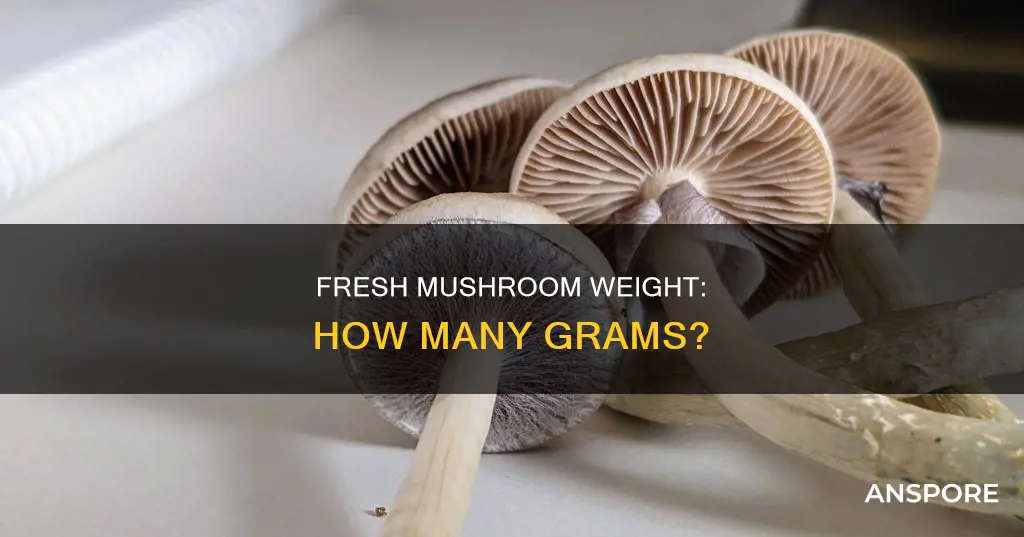 how many grams of fresh mushrooms