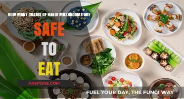 Safe Consumption Guide: How Many Grams of Hanoi Mushrooms to Eat?
