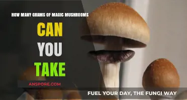 Safe Dosage Guide: How Many Grams of Magic Mushrooms to Take?