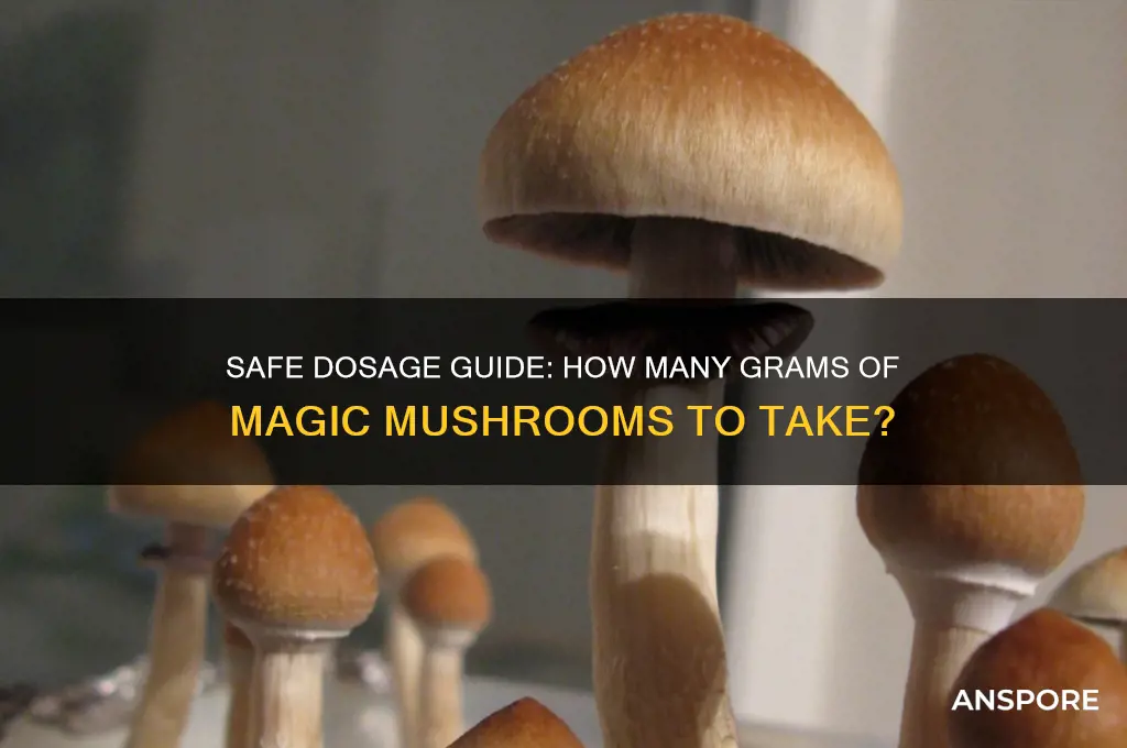 how many grams of magic mushrooms can you take