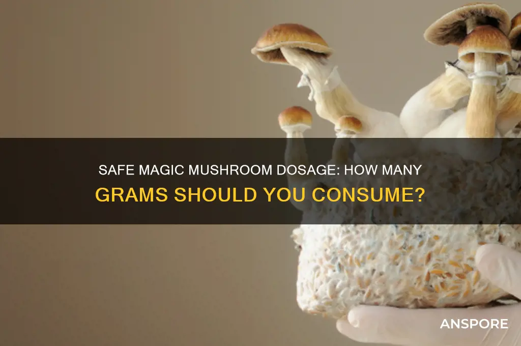 how many grams of magic mushrooms should i eat
