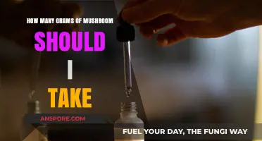 Mushroom Microdosing: How Many Grams to Take?