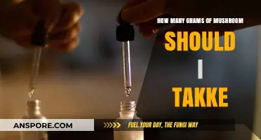 Mushroom Microdosing: Finding Your Ideal Gram Range