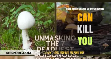 Deadly Dose: How Many Grams of Mushrooms Can Be Fatal?