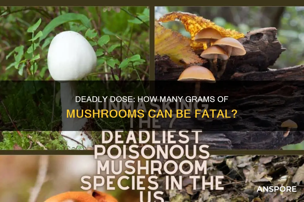 how many grams of mushrooms can kill you