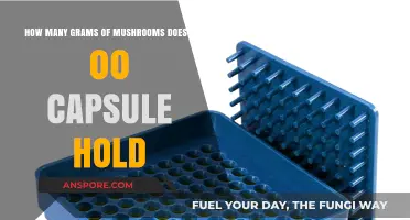 Capsule Capacity: Filling Mushroom Capsules Efficiently