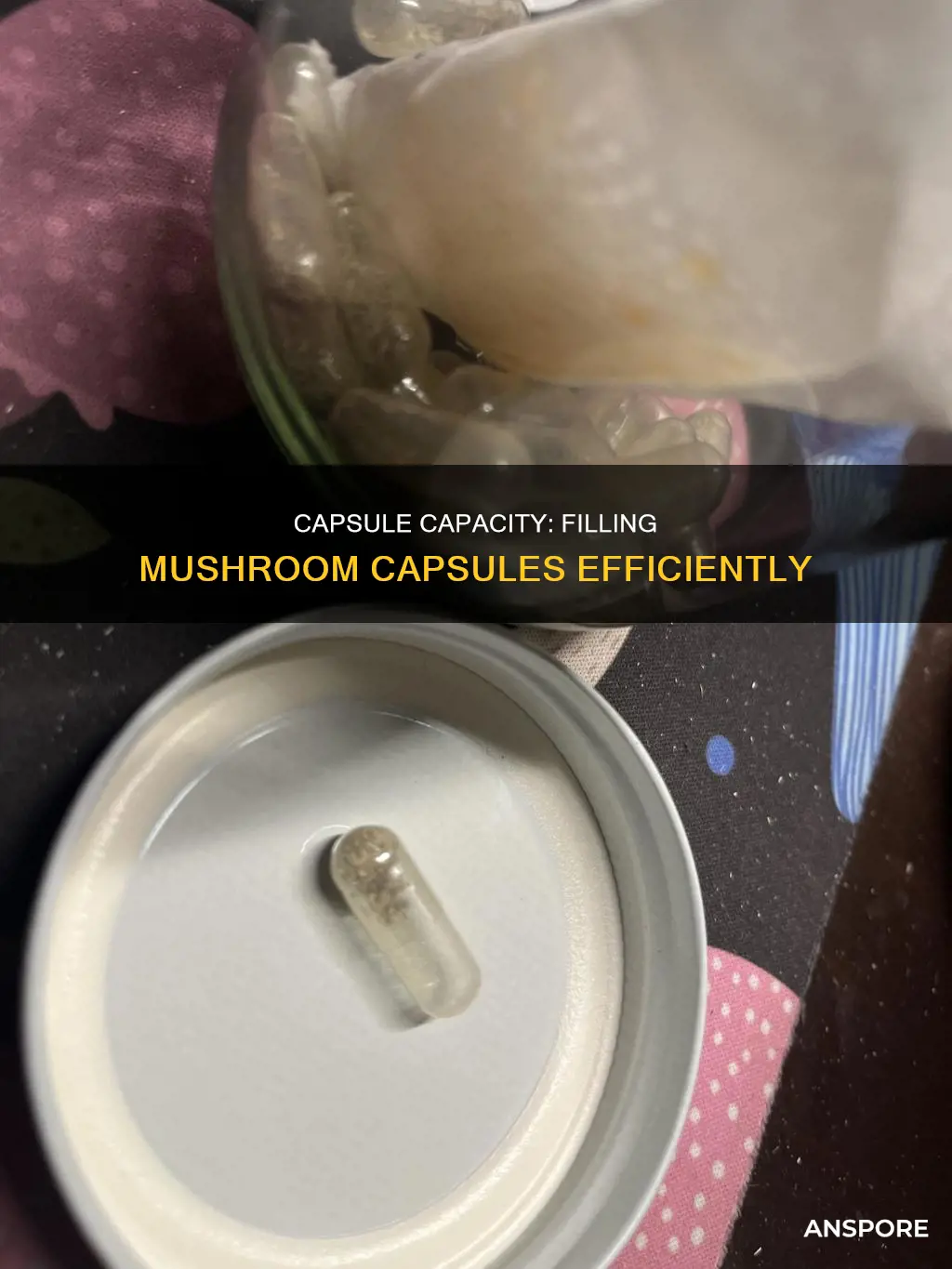 how many grams of mushrooms does a 00 capsule hold