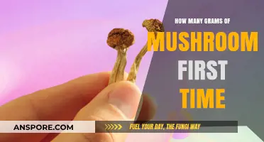 Mushroom Tripping: How Many Grams for First-Timers?
