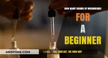 Mushroom Tripping: Safe Grams for Beginners