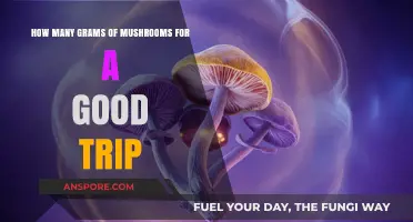 Finding Your Perfect Mushroom Dosage: A Guide to a Good Trip