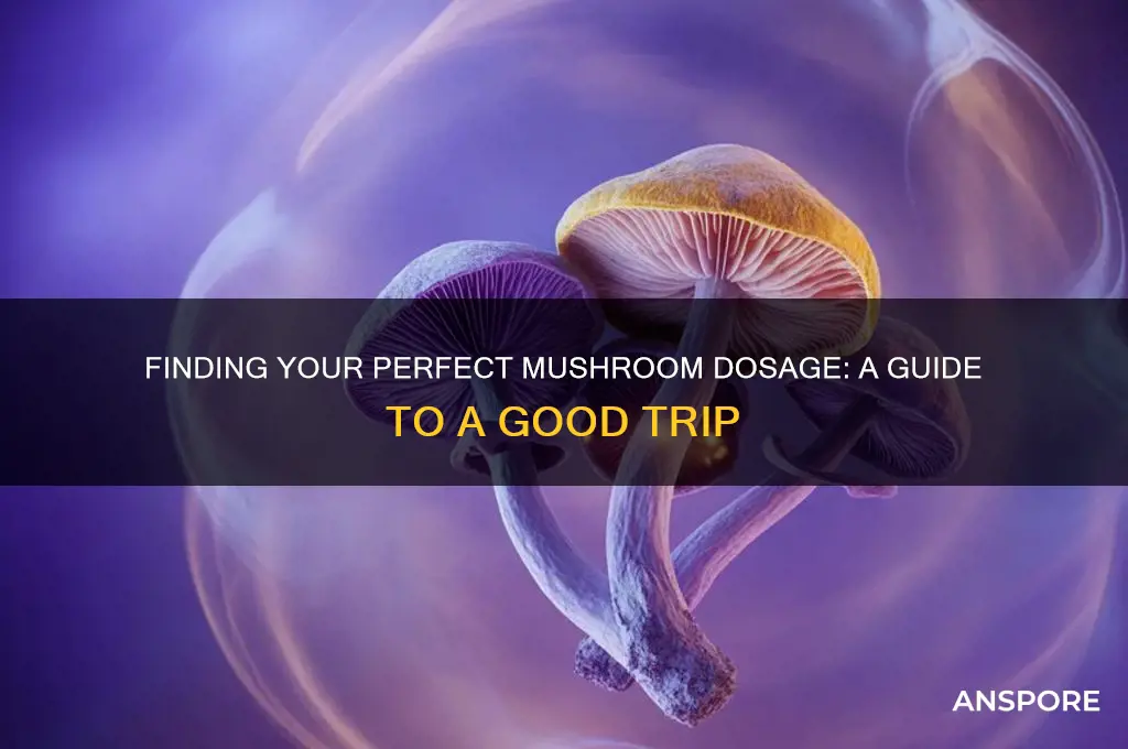how many grams of mushrooms for a good trip