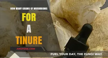 The Magic Mushroom Weight for Tinctures