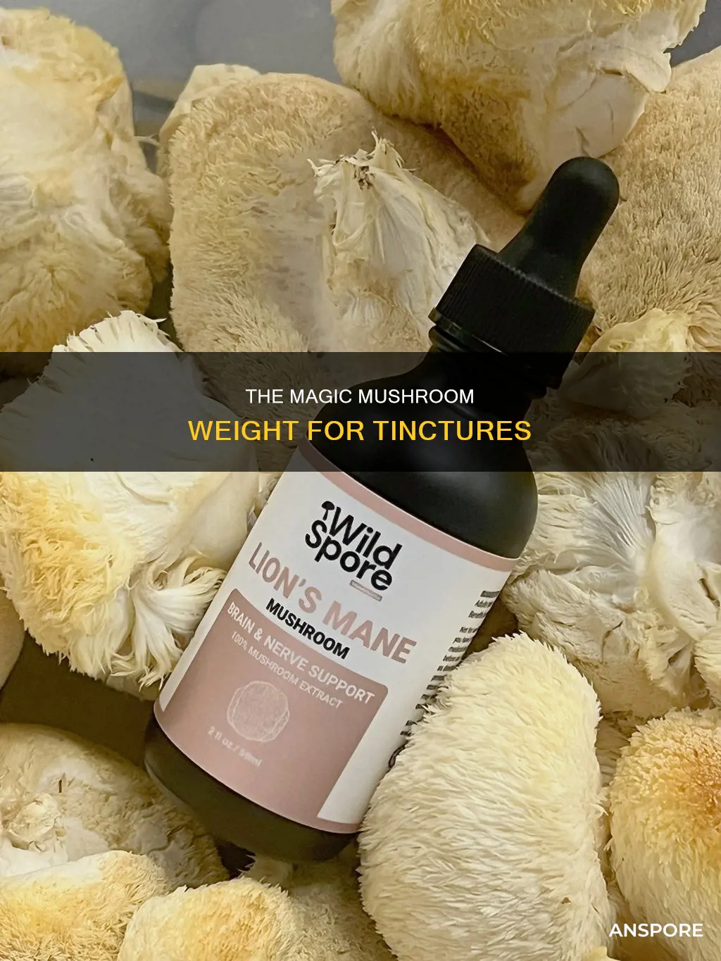 how many grams of mushrooms for a tinure