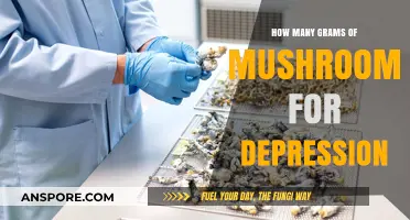 Mushroom Microdosing: Grams for Depression Treatment