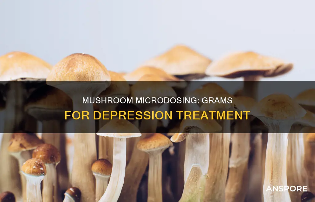 how many grams of mushrooms for depression