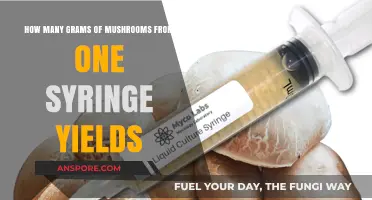 Growing Mushrooms: Syringe to Grams Yield