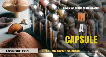 Mushroom Capsules: How Many Grams in Each?