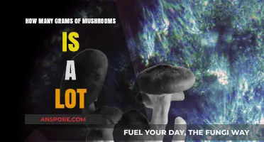 Mushroom Consumption: How Much is Too Much?