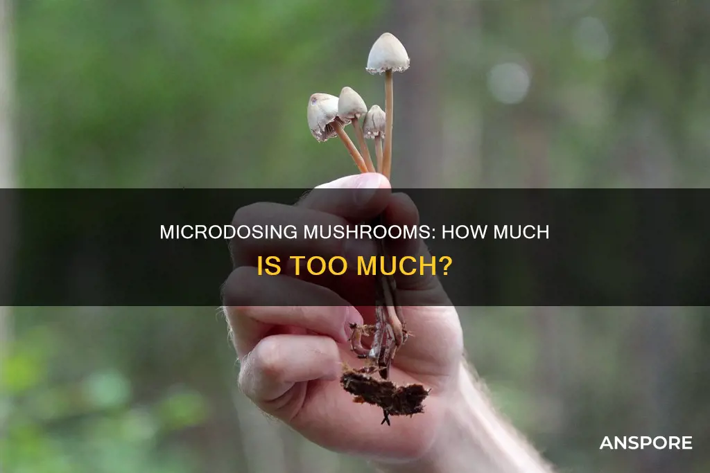 how many grams of mushrooms is a micro dose