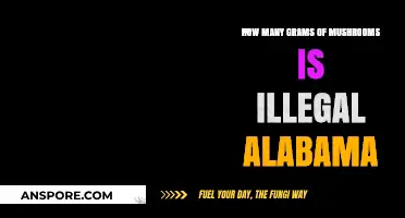 Mushroom Possession: Alabama's Strict Laws and Penalties