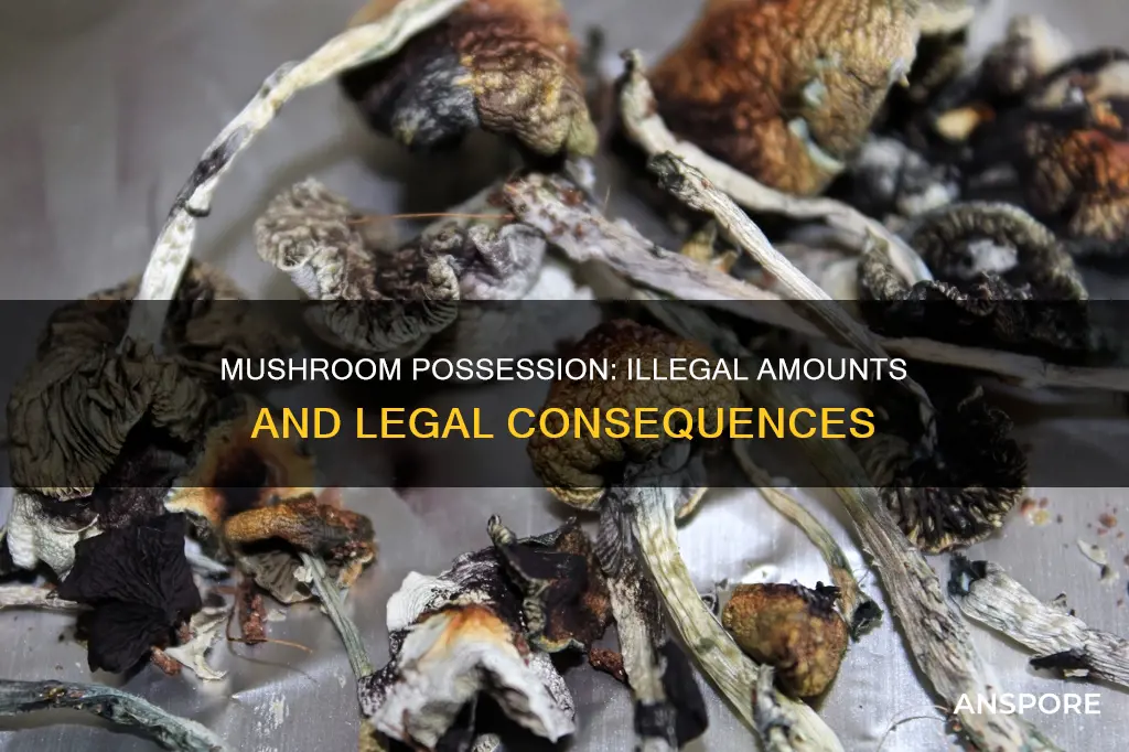 how many grams of mushrooms is illegal