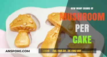 Mushroom Cakes: Grams per Cake Perfection